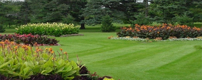 Landscape Maintenance